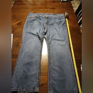 Seven7 Lane Bryant  bootcut womens 24